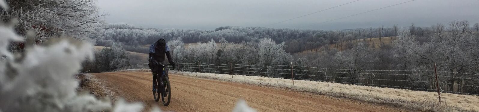 IMG 3443 EF Interior Banner